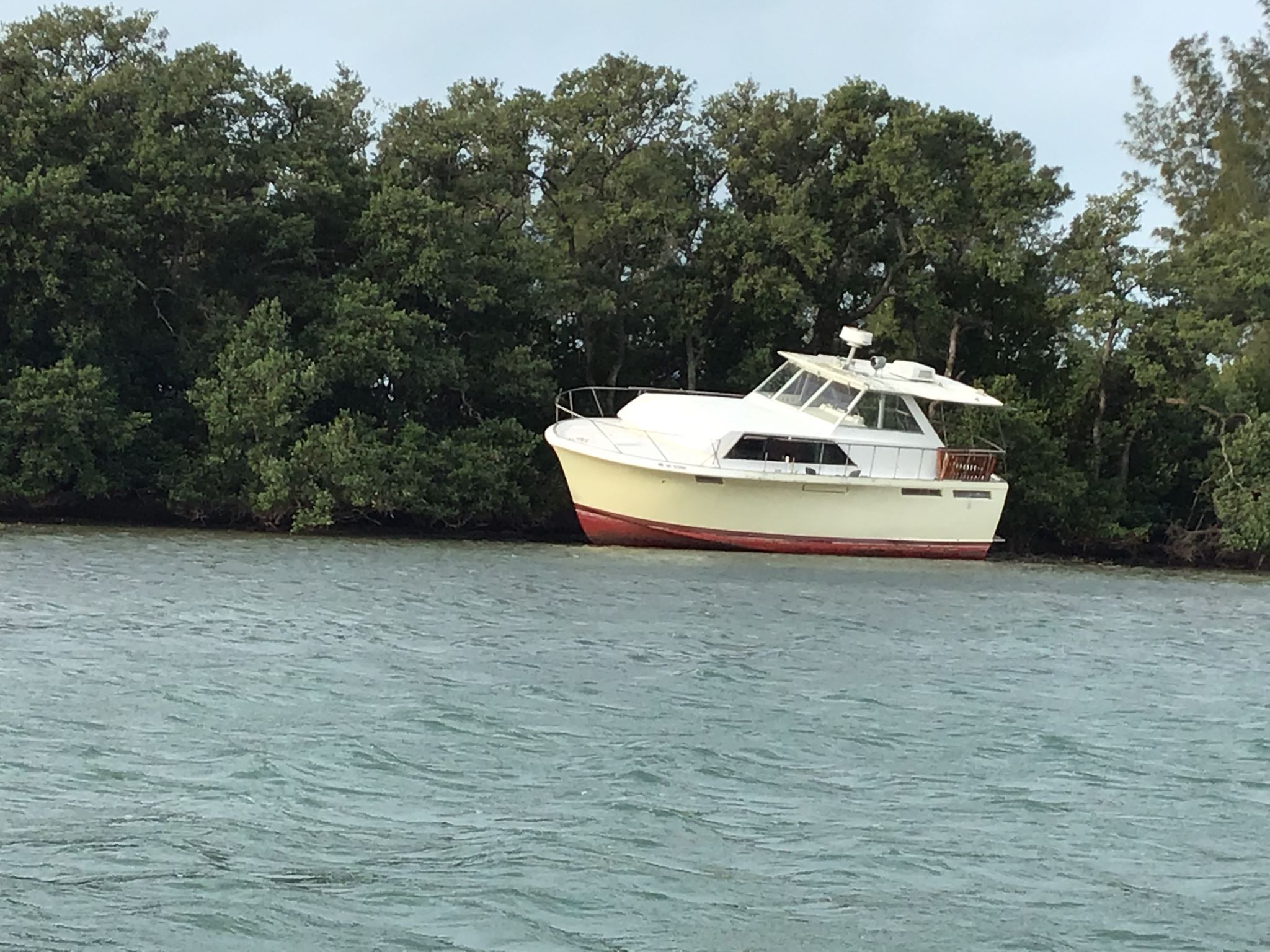 84358468_2760479470665144_4547579117523959808_n